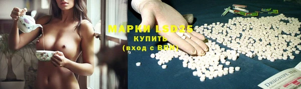 apvp Алексин