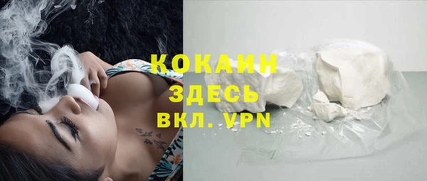 apvp Алексин