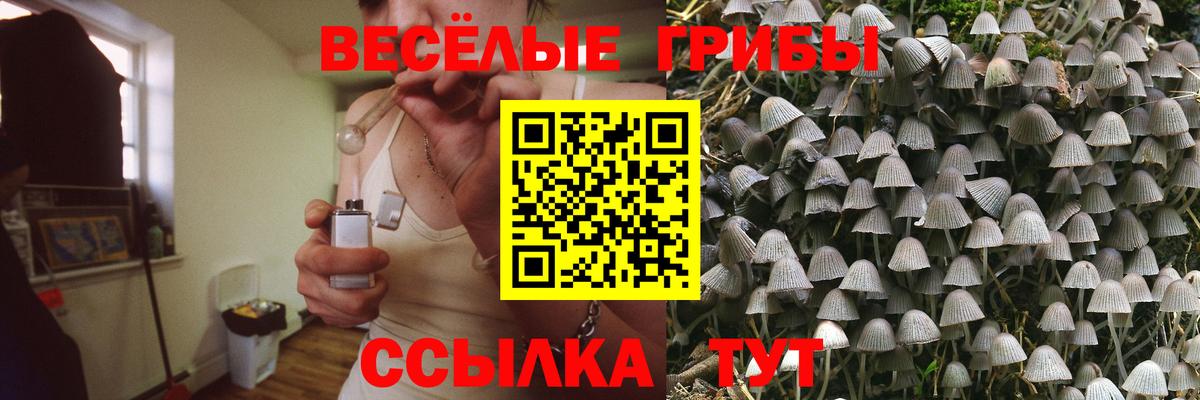 Псилоцибиновые грибы мухоморы  Вход с VPN  Подольск 